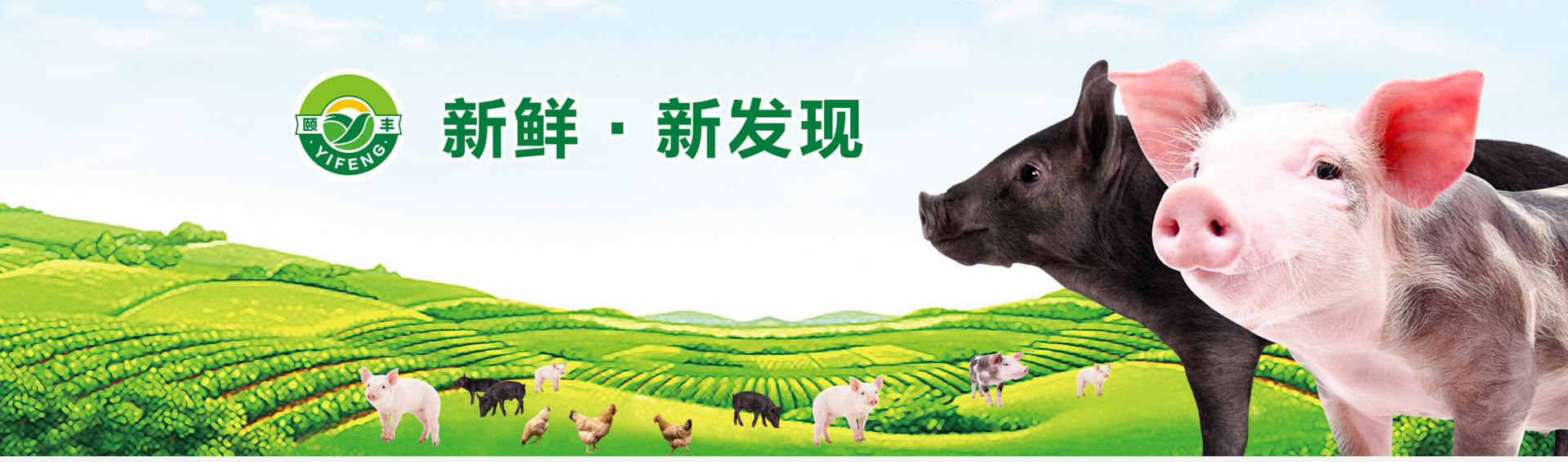 roulianchang_02 roulianchang_02