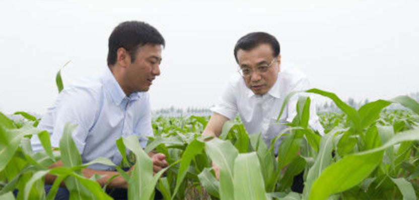 一号文件解读：中国要强 农业必须强